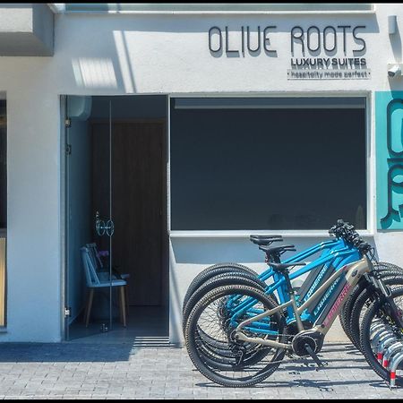 فندق Olive Roots Skala Rachoni  المظهر الخارجي الصورة