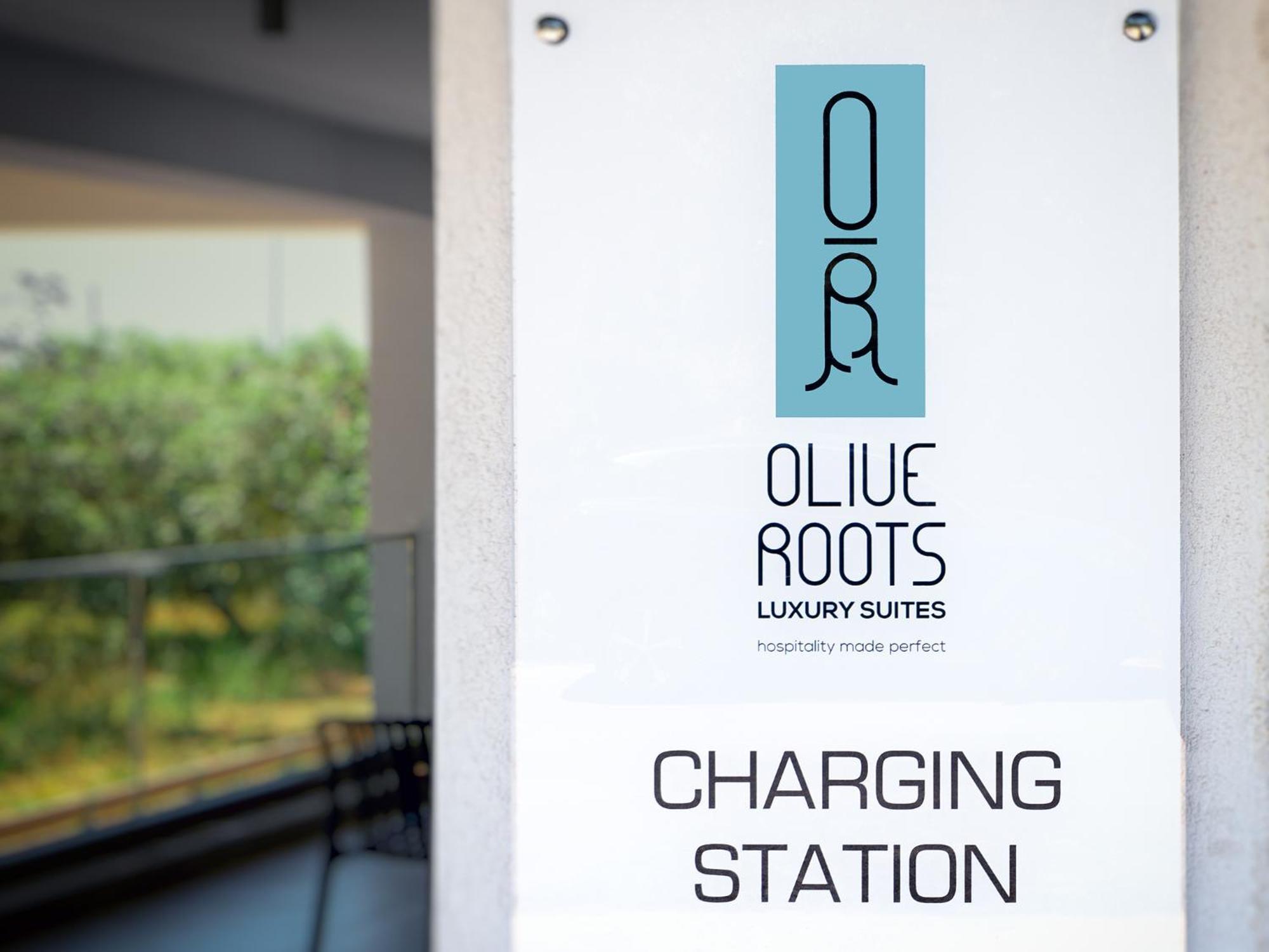 فندق Olive Roots Skala Rachoni  المظهر الخارجي الصورة